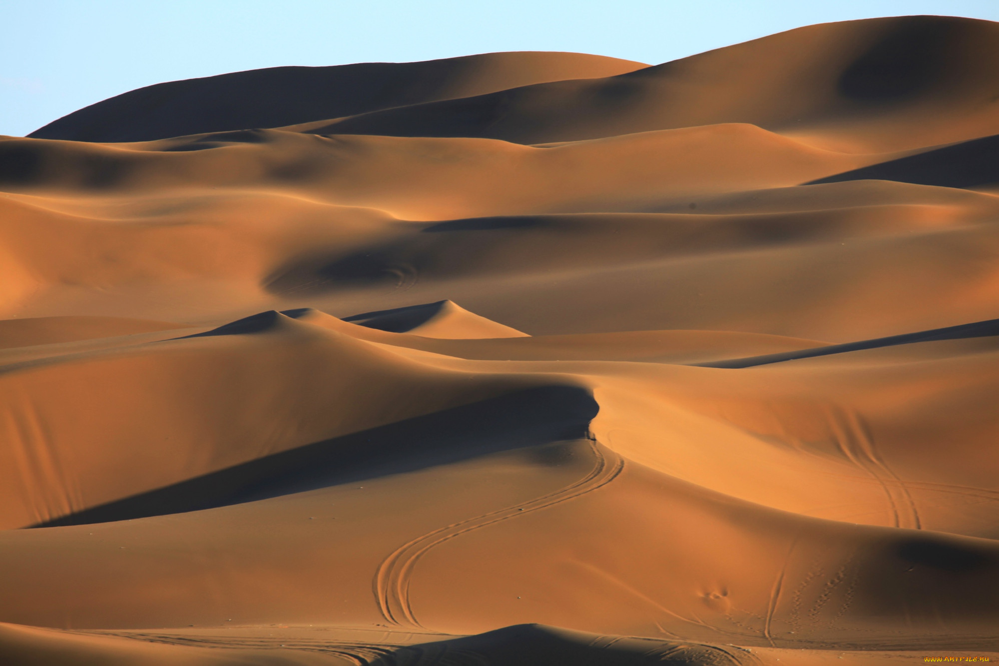 Барханы ханы. Бархан Сарыкум. Песок Барханы. Барханов е. Серо бежевая пустыня.